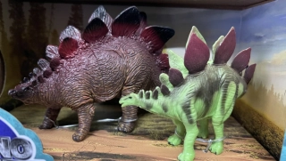 Stegosaurus sada Dino Planet
