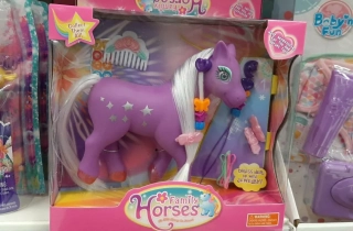 Family Horses