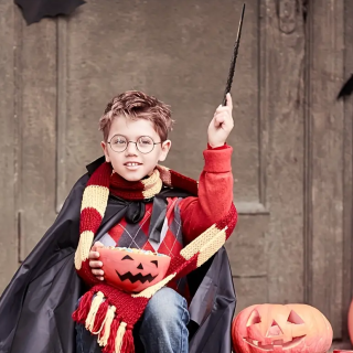 Harryho hůlka 30 cm